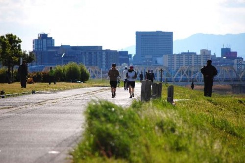 堤防道路