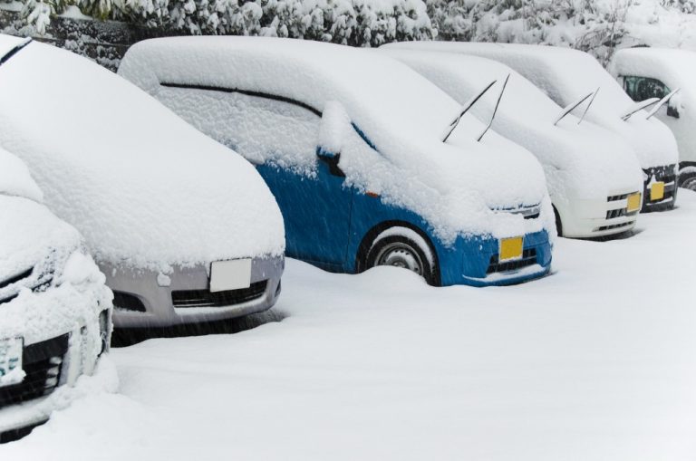 雪と自動車