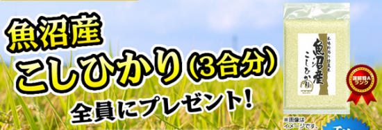 インズウェブのキャンペーン