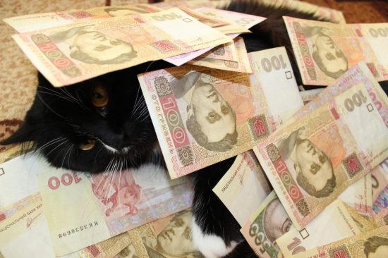 お金と戯れる猫