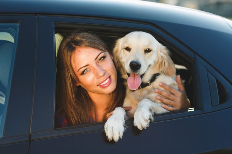 車に乗っているペットと女性