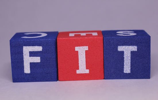 フィットの文字