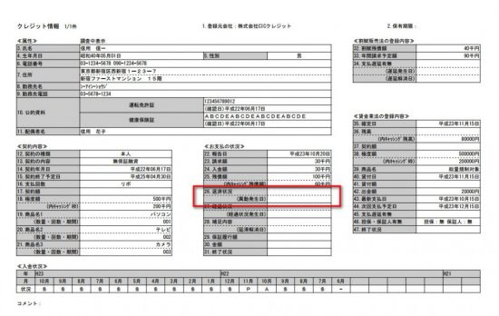 CIC信用情報ーラージ