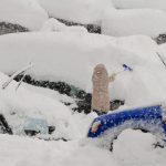 大雪・雪崩による損害でも車両保険から保険金は支払われる？