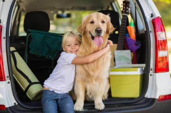 車に積載された物に囲まれている子供と犬