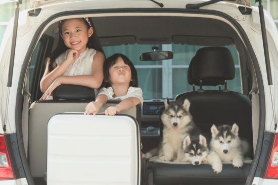 車に乗っている犬と子供