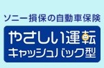 ソニー損保の「やさしい運転」特約を実際に30日間やってみた結果