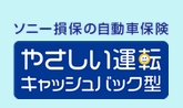 やさしい運転特約