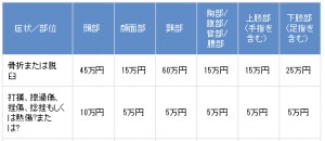 チューリッヒ搭乗者傷害保険